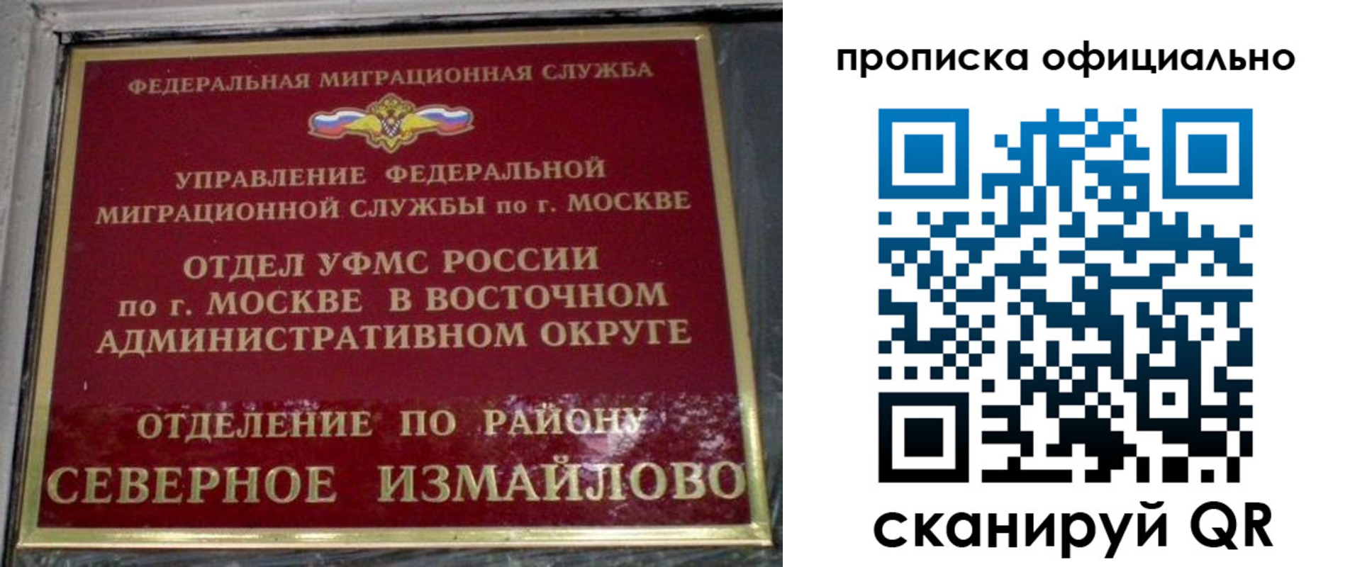найти адрес прописки в Стародубе